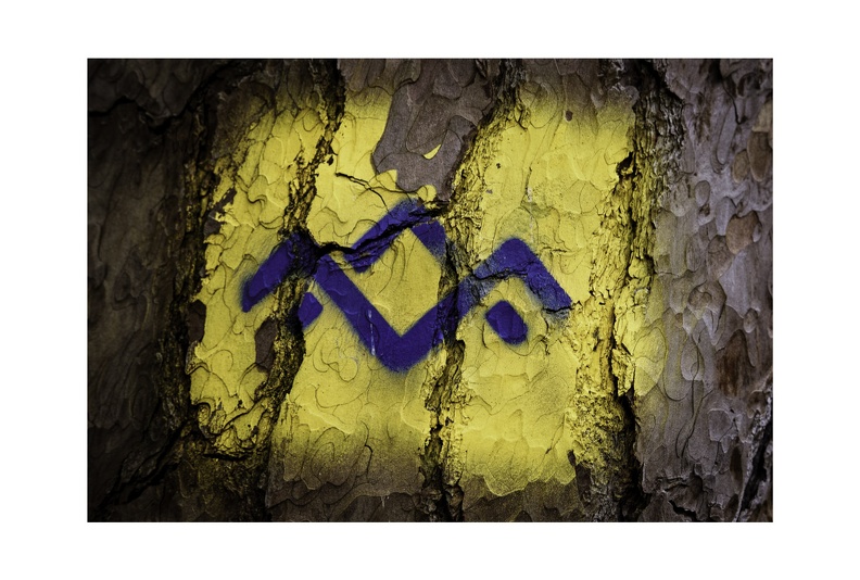 Blue Bark Series-01.jpg