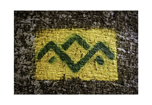 Green Bark Series-6