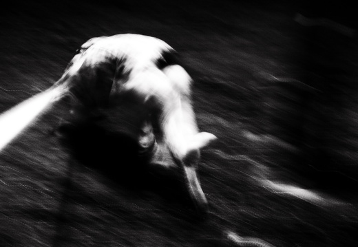experiments 07