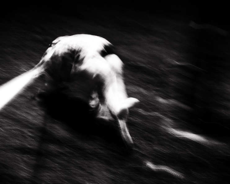 20231117-194449-untitled-DIGITAL-2.jpg